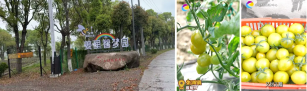 1776133742658331.png 图片8.png